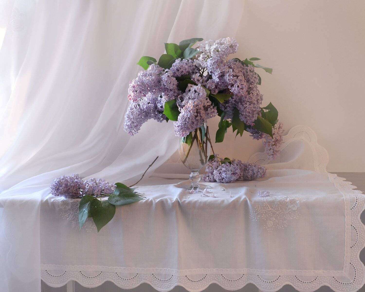 still life,натюрморт, цветы, фото натюрморт, сирень, май, весна, Колова Валентина
