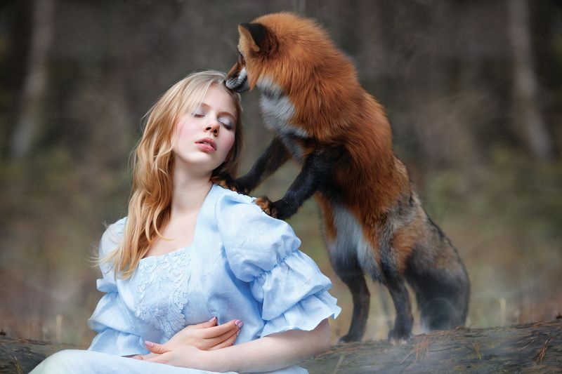 лиса лес девушка Нежность фото превью