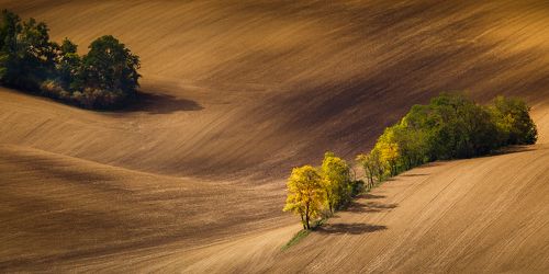 Moravian autumn