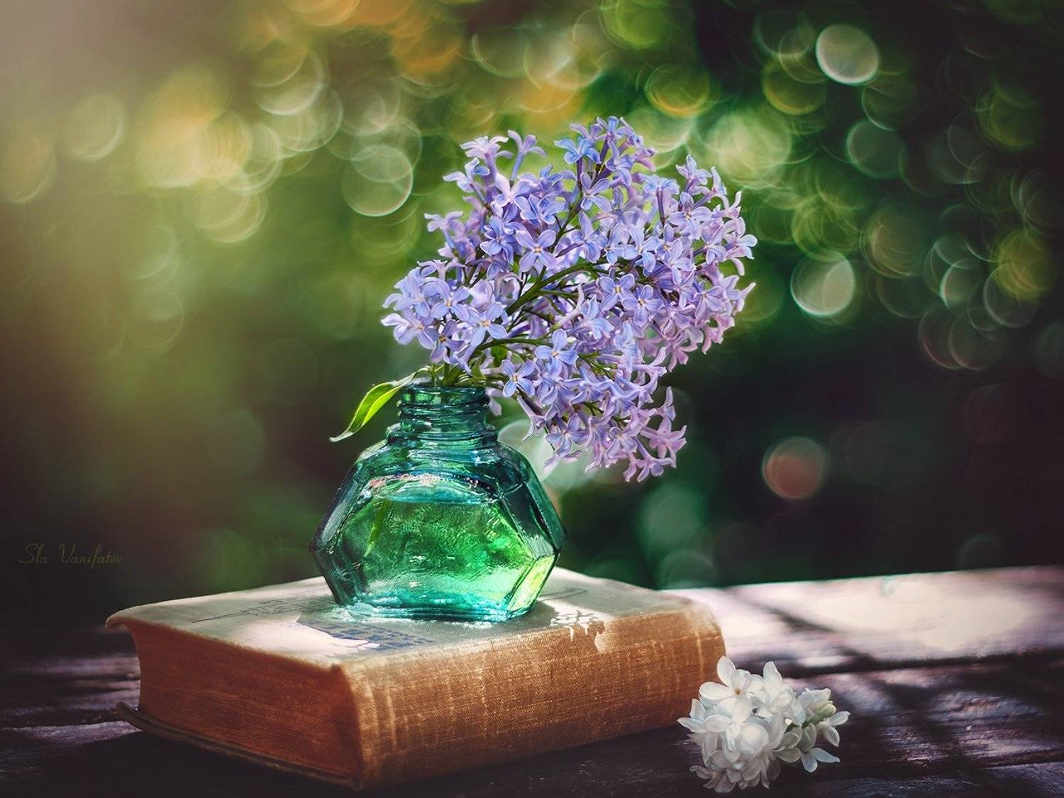 , Вячеслав Ванифатьев