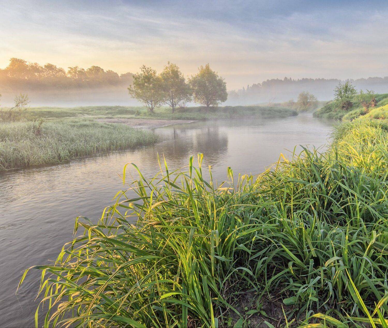 , Николай Андреев