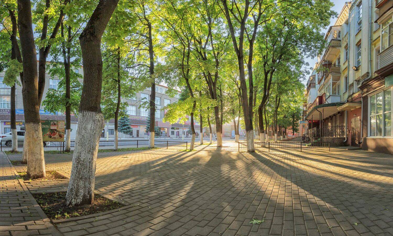 , Николай Андреев