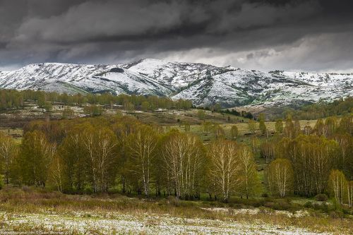 Под свинцовым небом мая