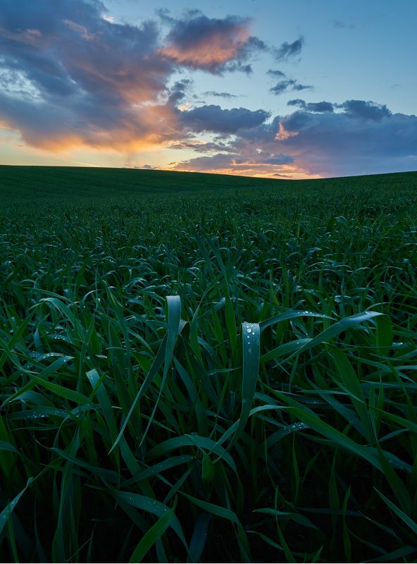 после дождя фото превью