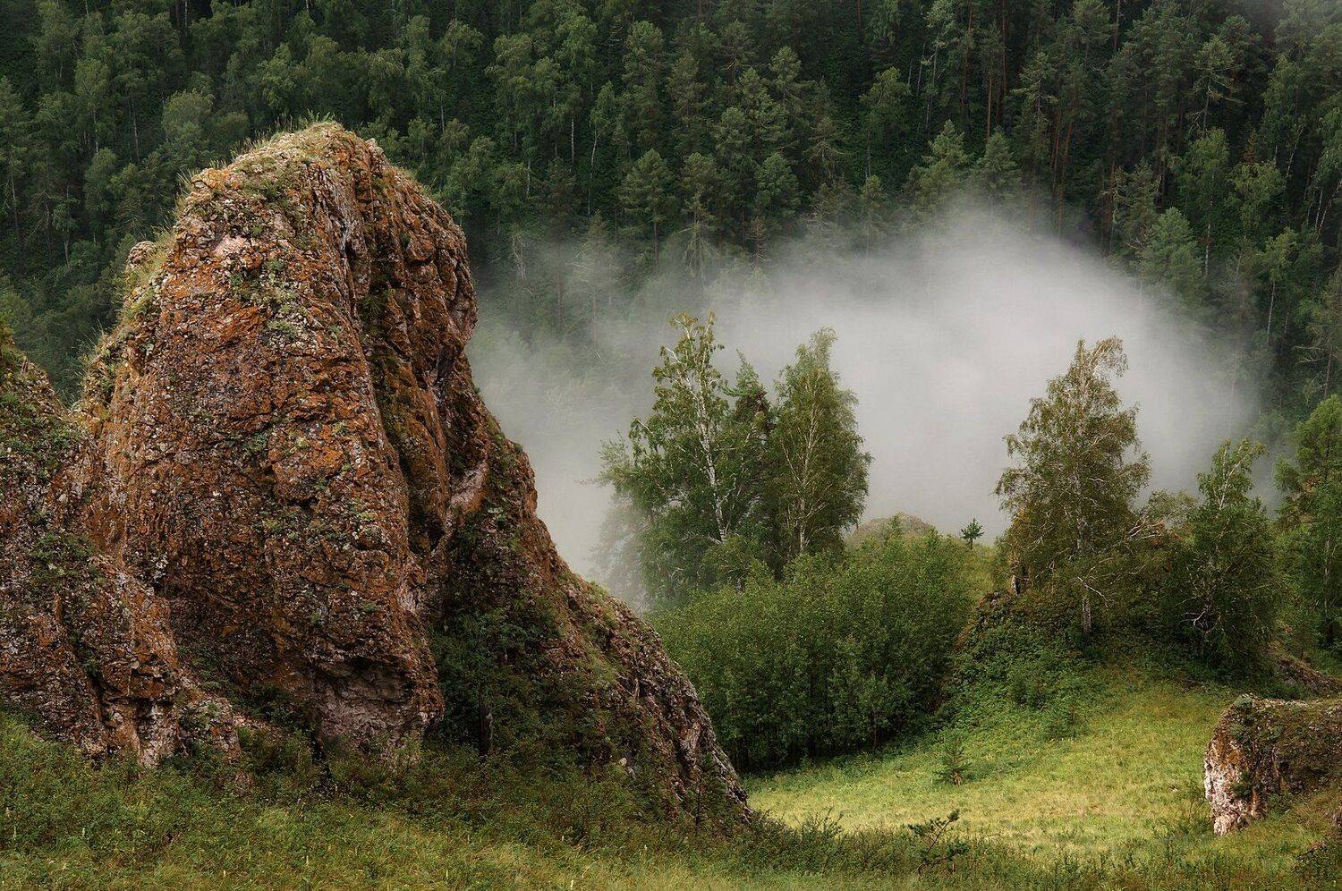 утро, туман,, Марина Фомина