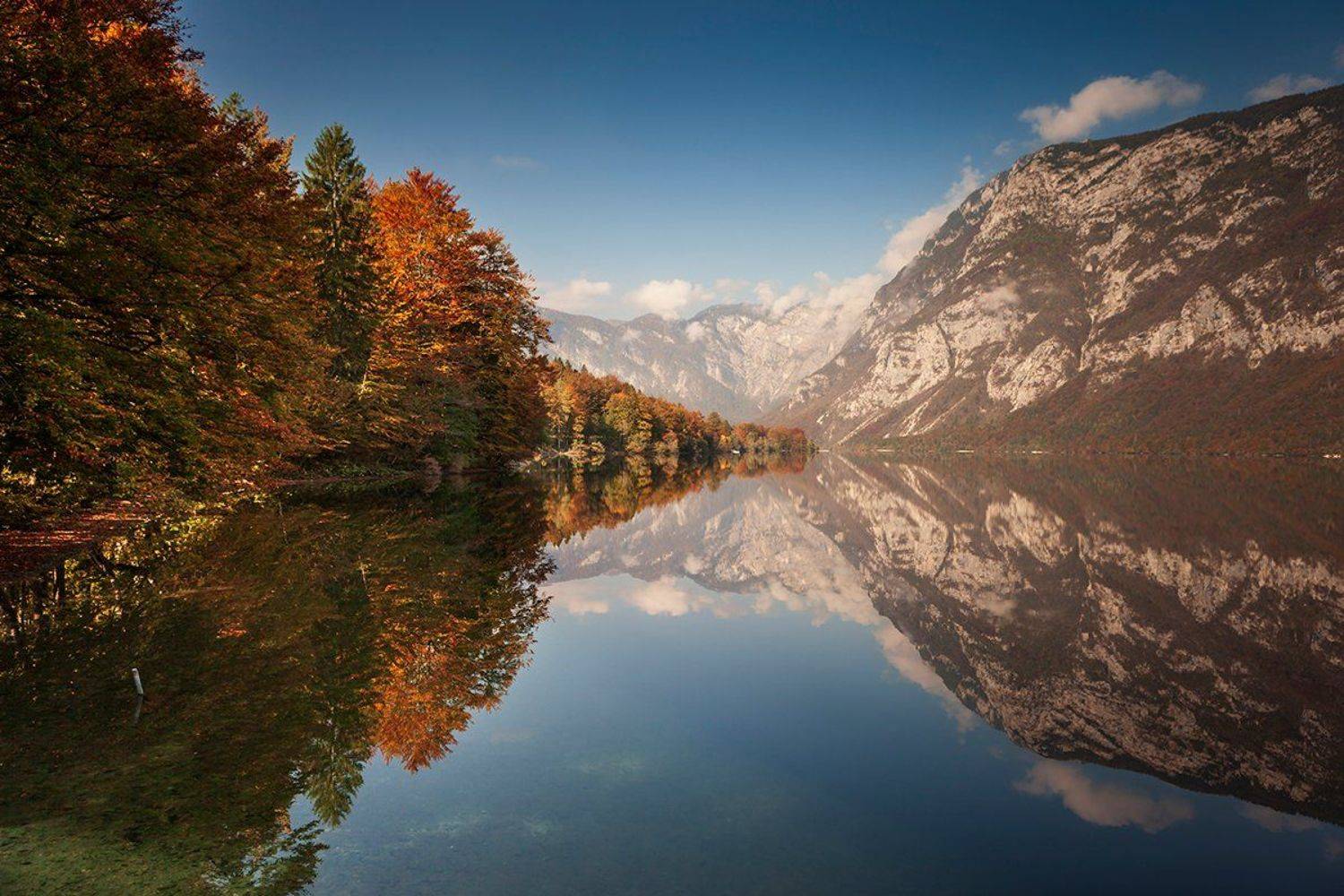 , Света  Черникова