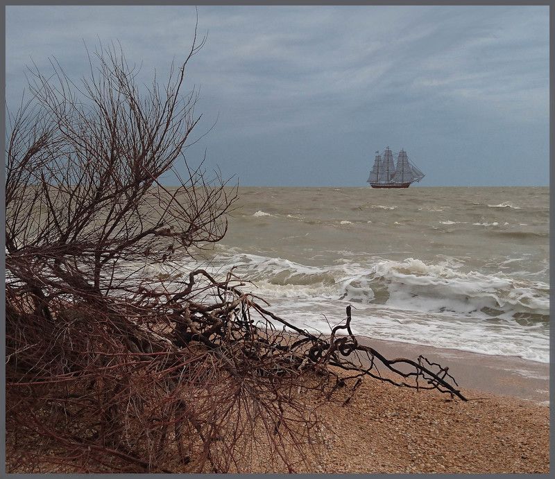 у моря фото превью