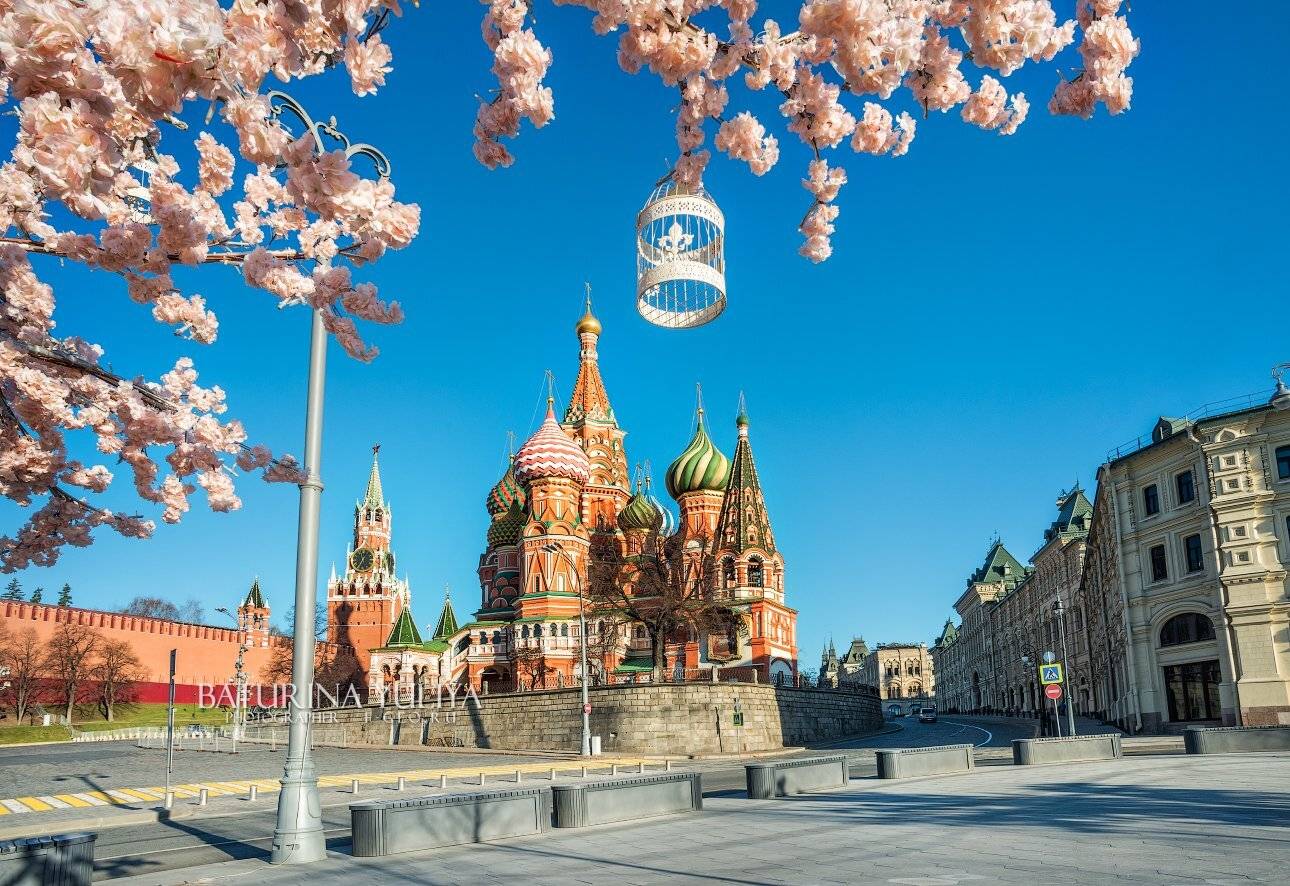 москва, собор василия блаженного, весна, Юлия Батурина