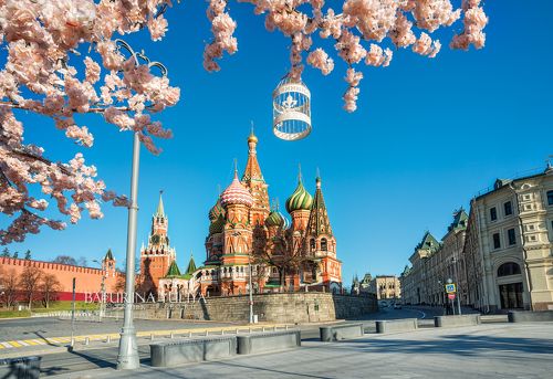 Цветочная весна