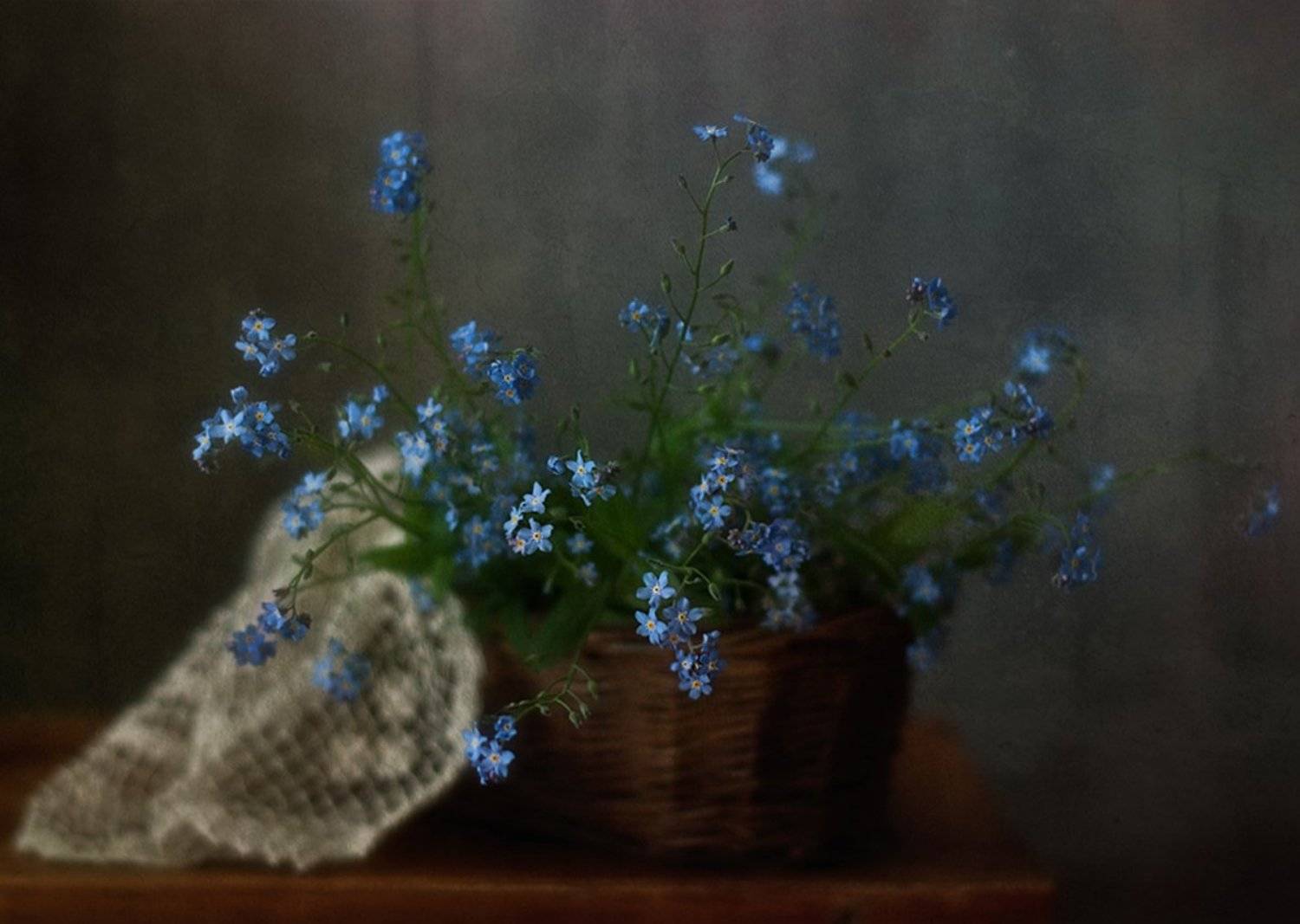 натюрморт,незабудки, Наталия К