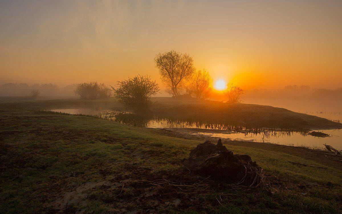 , Pawel Plucinski
