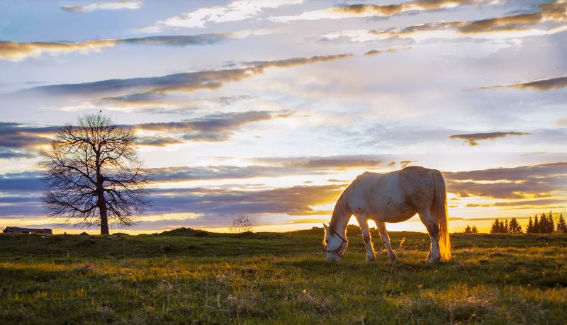 урал, пермский край, закат Ждем закат фото превью