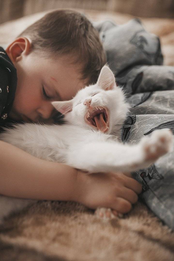 , Павлова Александра