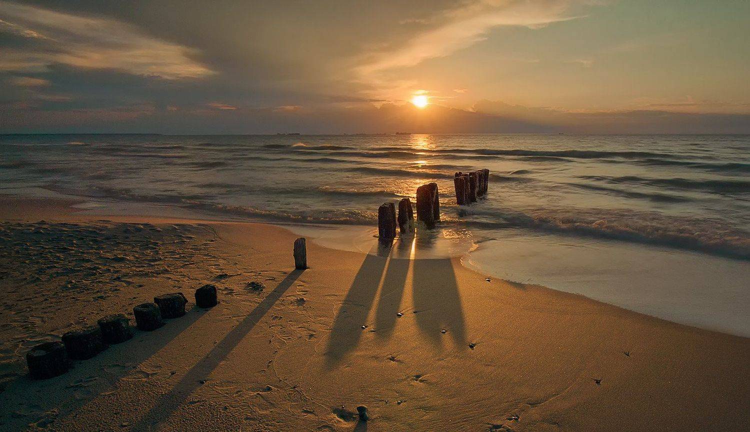 , Павел Дунюшкин