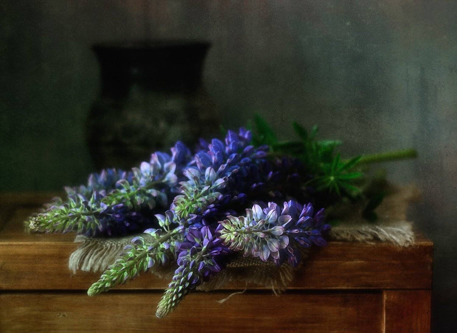 натюрморт,люпин,букет, Наталия К