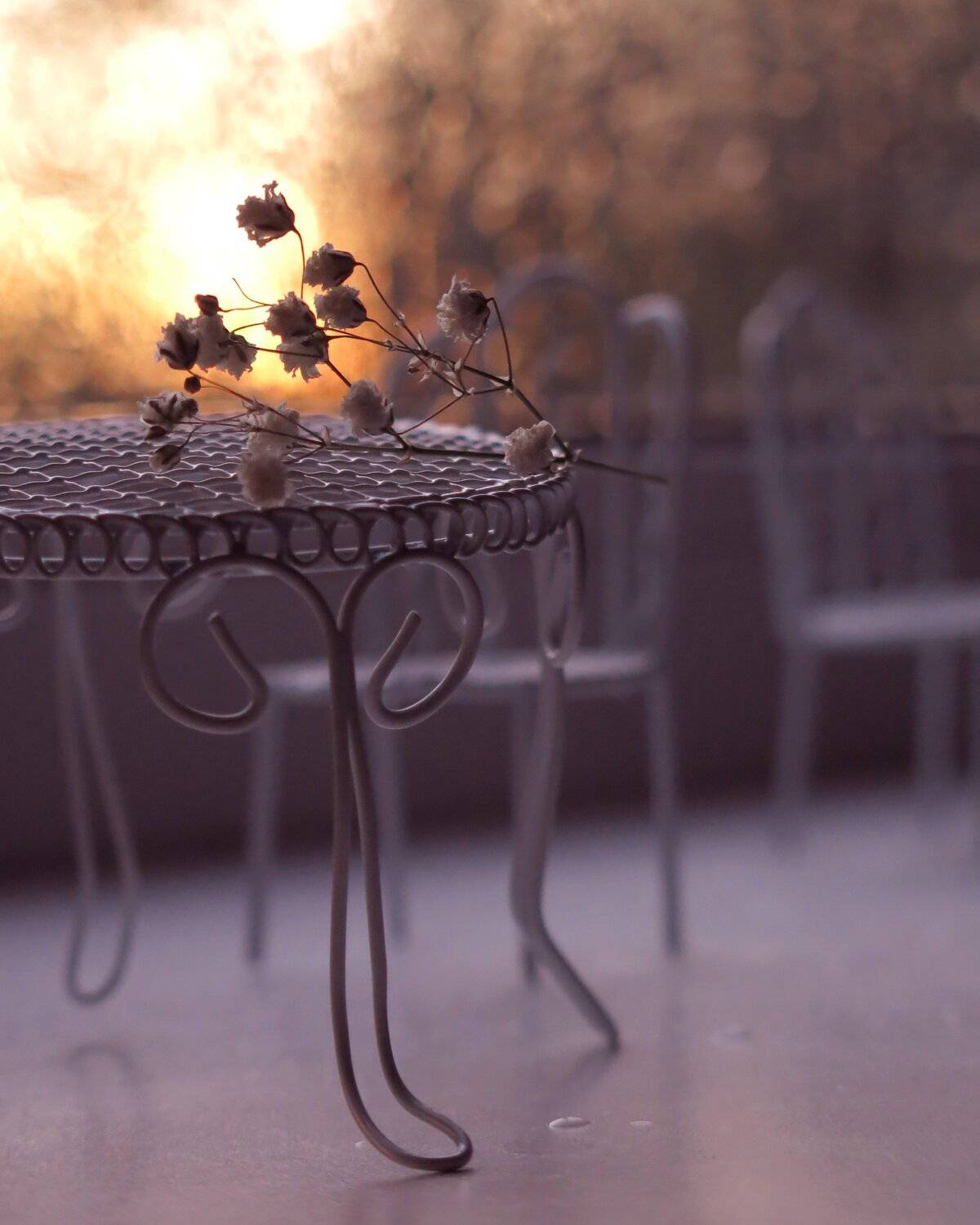 вечер, Елена Лысенко