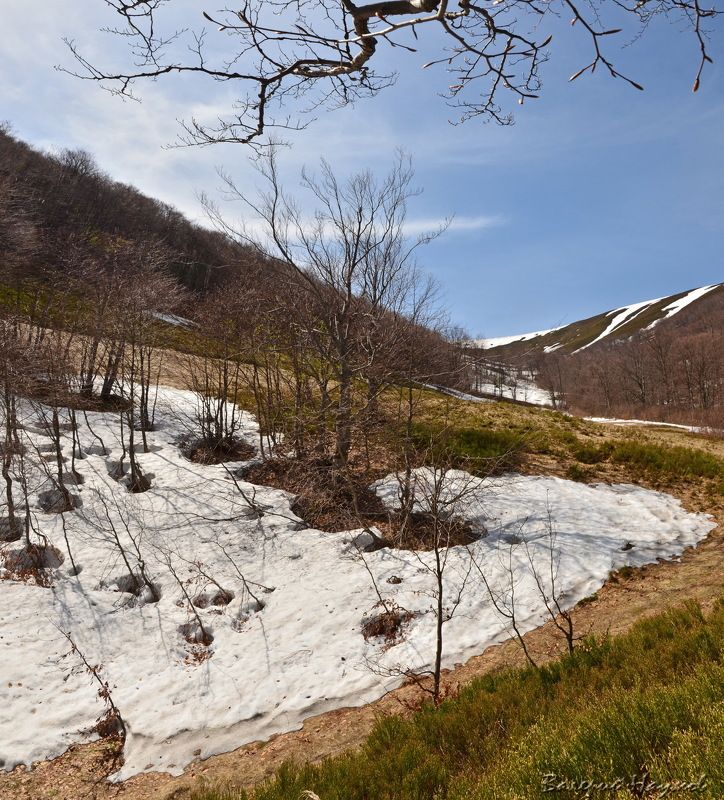 весна, апрель, карпаты, боржава Ещё раз про весну в Закарпатье фото превью