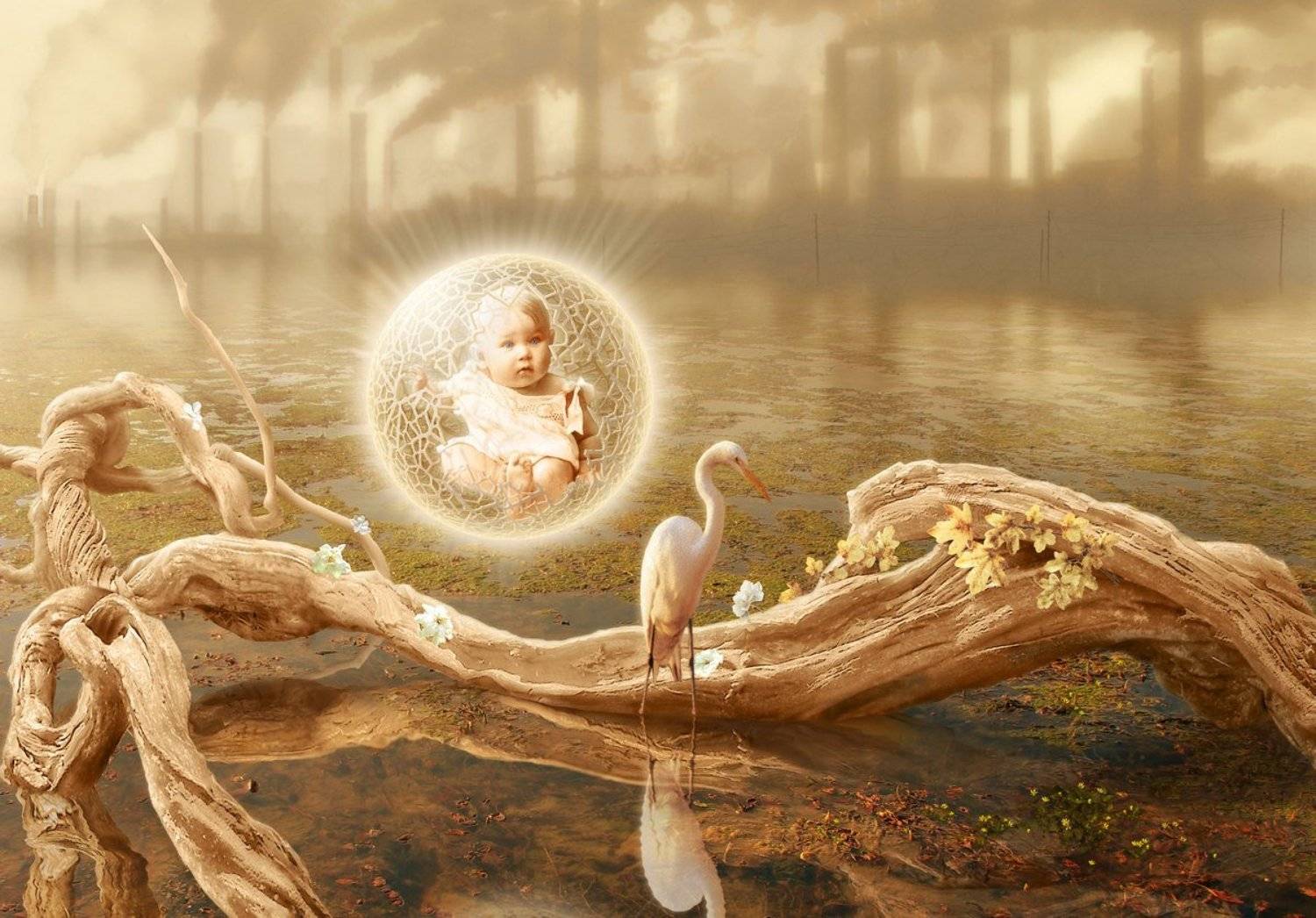 человек среда обитания, Станислав Солагаян