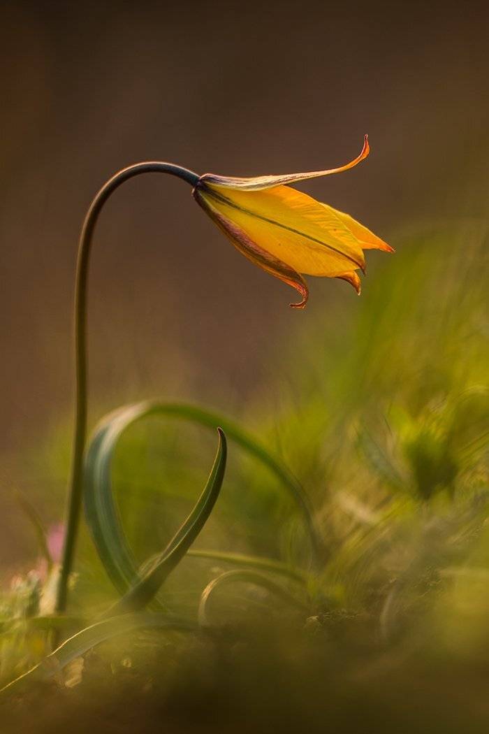 , Илья Михеев