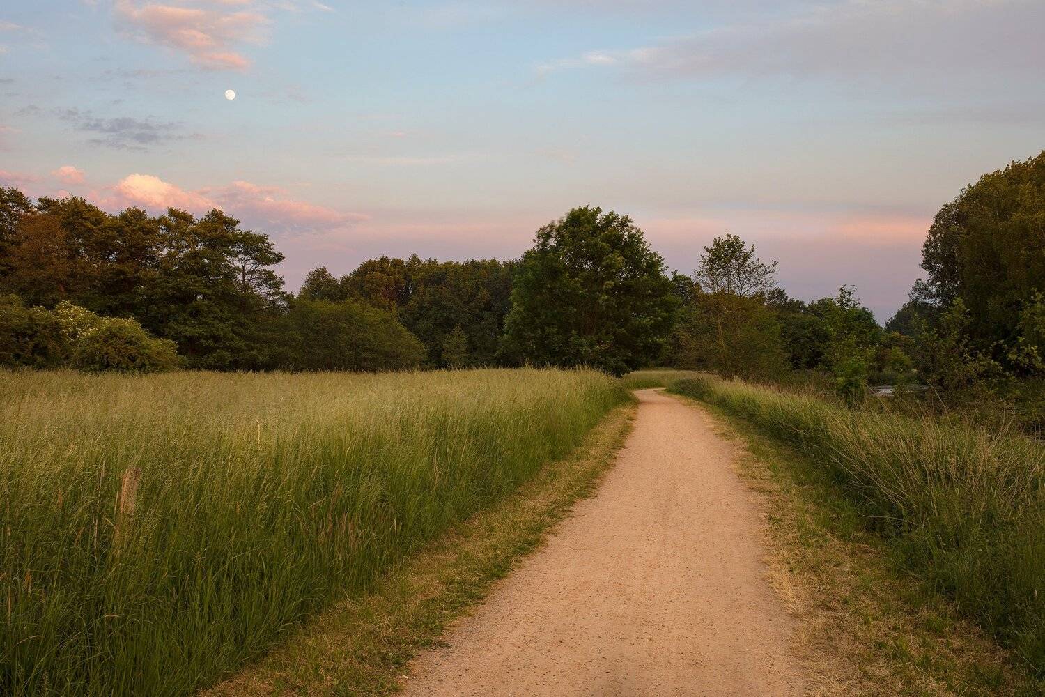 , Игорь Дубровский