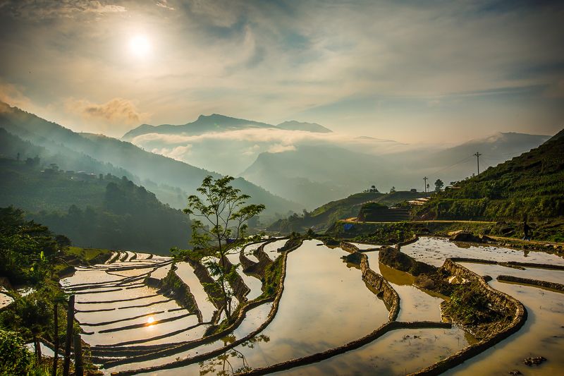 Thien Sinh - Vietnam фото превью