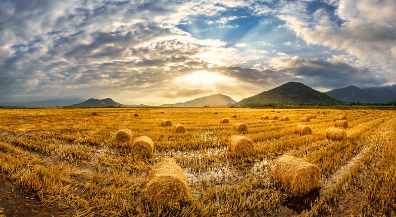 Pham Hung\'s photo фото превью