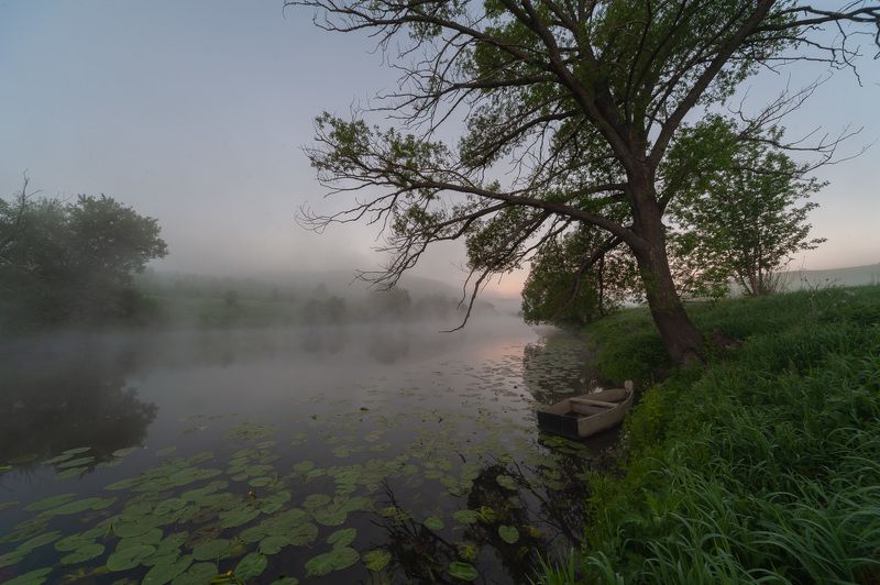 _ фото превью