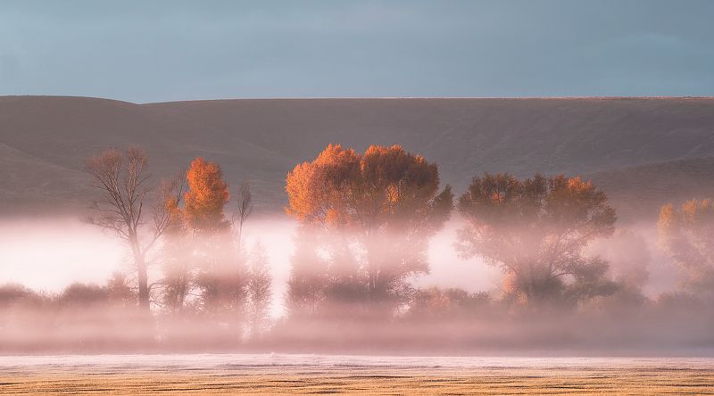 autumn фото превью