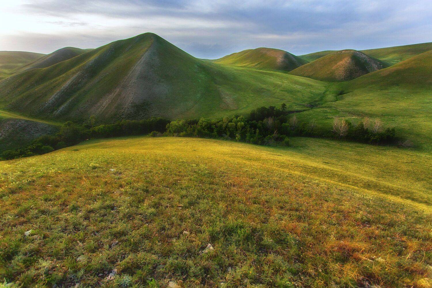 , Павел Сагайдак