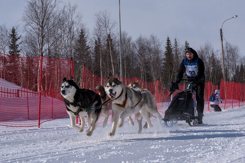 Летающий вожак фото превью