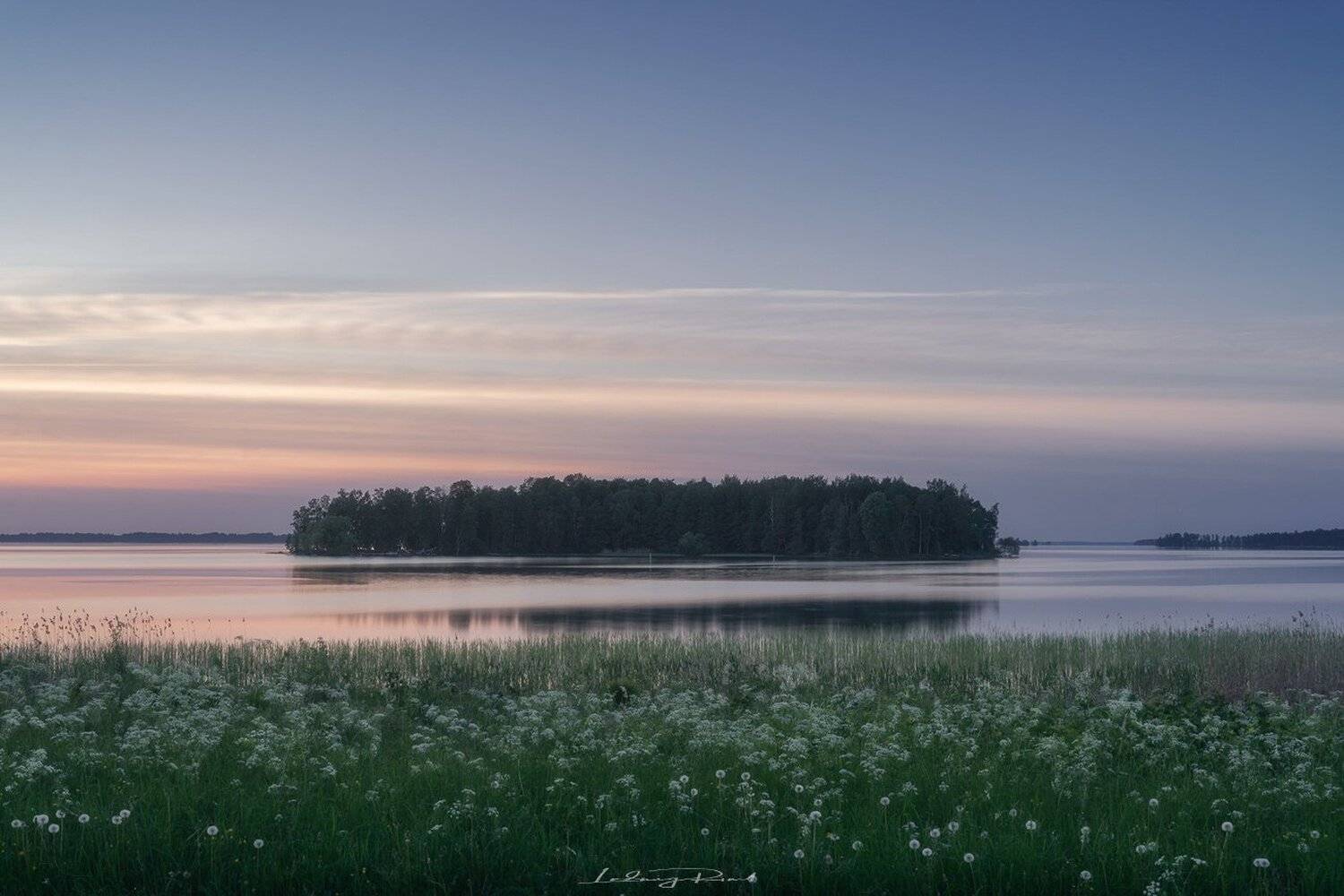 after sunset, calm, cow parcley, dandelion, evening, forest, grass, greens, harmony, hj&auml;lmaren, island, kalv&ouml;n, lake, maedow, nature, nordern light, outdoors, scandinavia, silence, sweden, tranquility, trees, twilight, water, Ludwig Riml