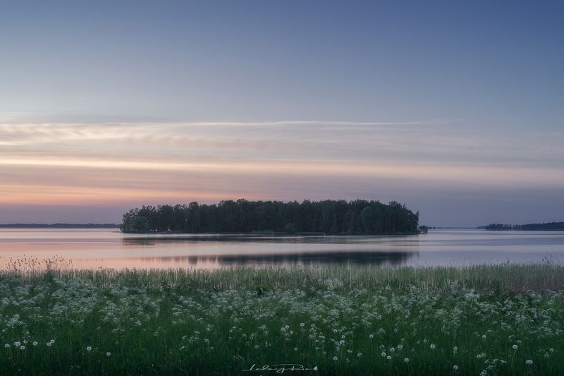 after sunset, calm, cow parcley, dandelion, evening, forest, grass, greens, harmony, hjälmaren, island, kalvön, lake, maedow, nature, nordern light, outdoors, scandinavia, silence, sweden, tranquility, trees, twilight, water Summer Night in Scandinavia фото превью