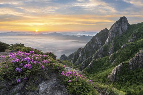 Spring in the valley of Wolchulsan