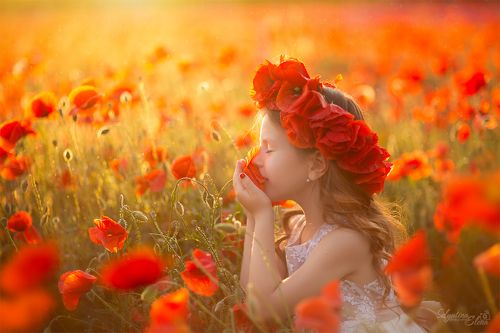 Magic poppies / Волшебные маки 