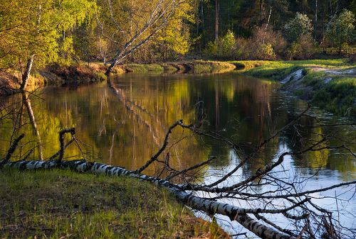 Задумчивый весенний вечер …