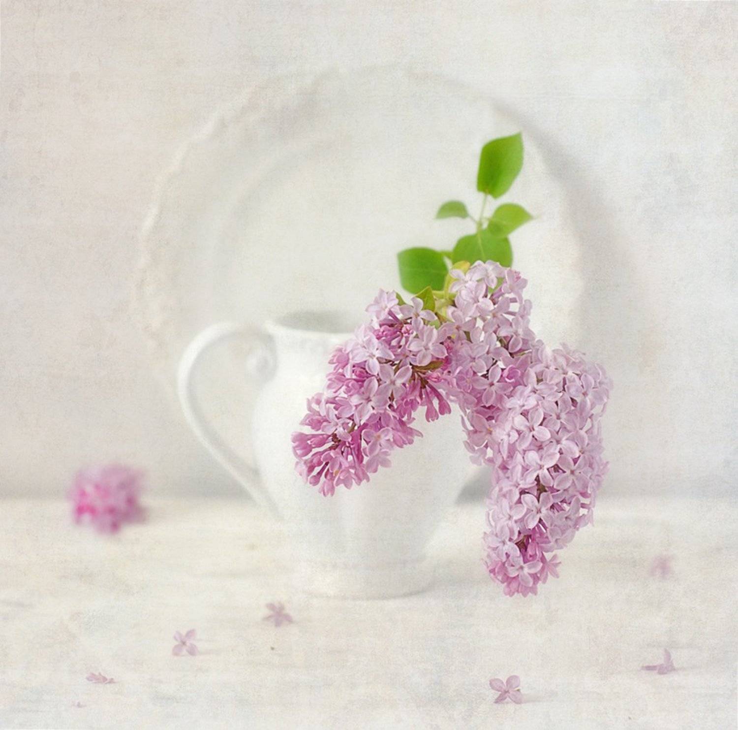 натюрморт,сирень,композиция, Наталия К