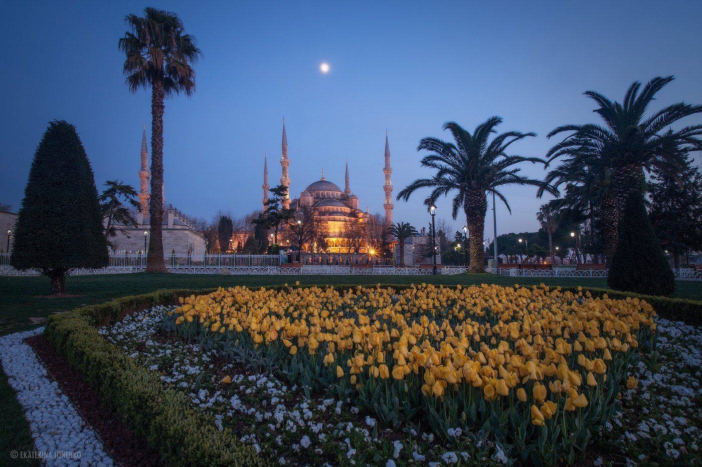 , Екатерина Ионенко