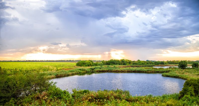 пейзаж,  природа, озеро, рассвет, облака, дерево, фотограф, алматы, фотограф алматы, landscape, dawn, the sun, nature, tree, photographer, аlmaty, amazing, awesome Раннее утро фото превью
