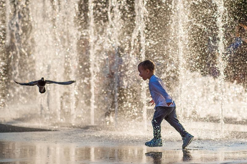 купание в фонтане фото превью