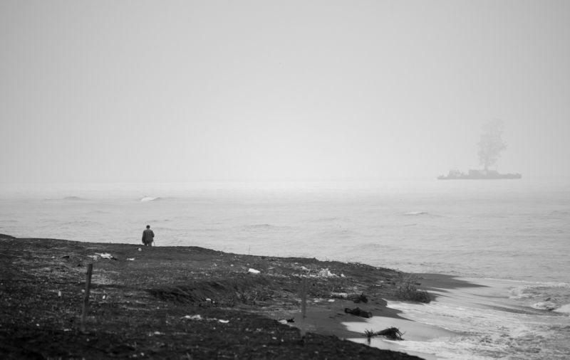 Floating Tree фото превью