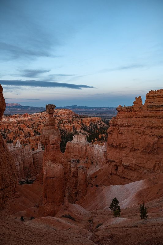 utah, usa, bryce, canyon, каньон, брайс, юта, сша [bryce canyon] фото превью