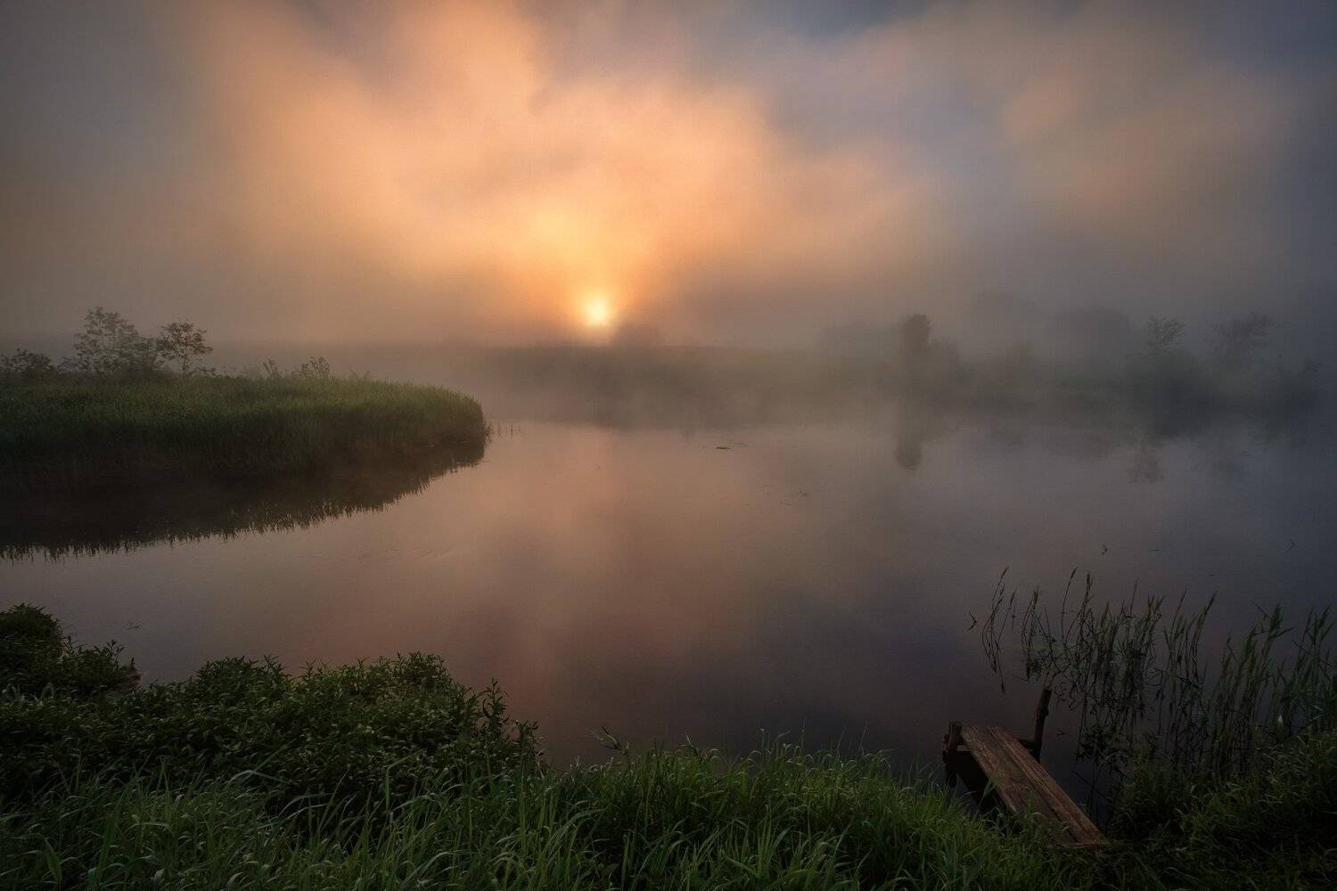 пейзаж, природа, дубна, река, туман, солнце, утро, рассвет, остров, Андрей Чиж