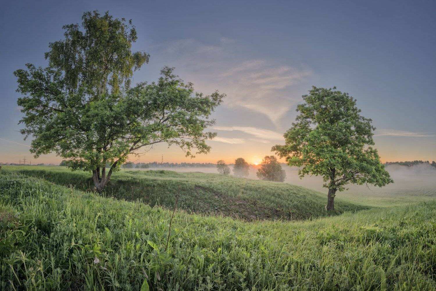 , Николай Андреев