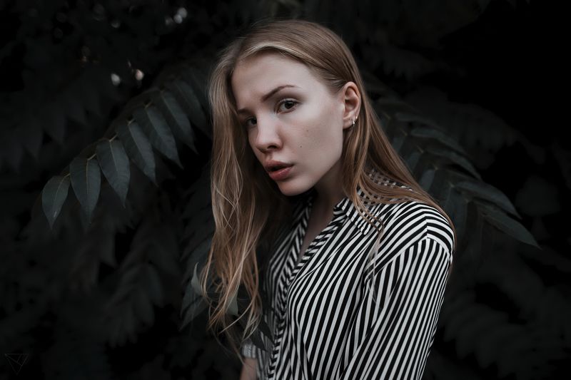 Портрет, женский портрет, девушка, взгляд, Россия  Даша  фото превью