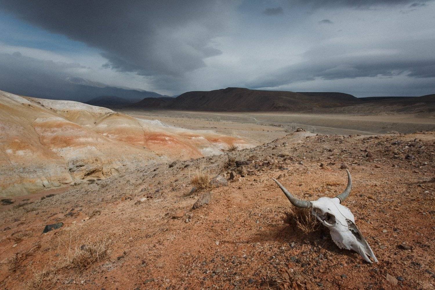 путешествия, чаган-узун, алтай, туризм, исследование, пейзаж, горы, река, хайкинг, марс, сибирь, Александр Нерозя