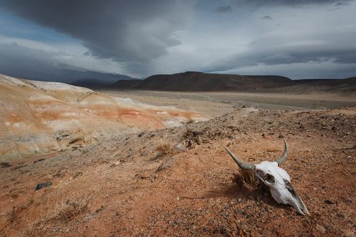 Добро пожаловать на Марс