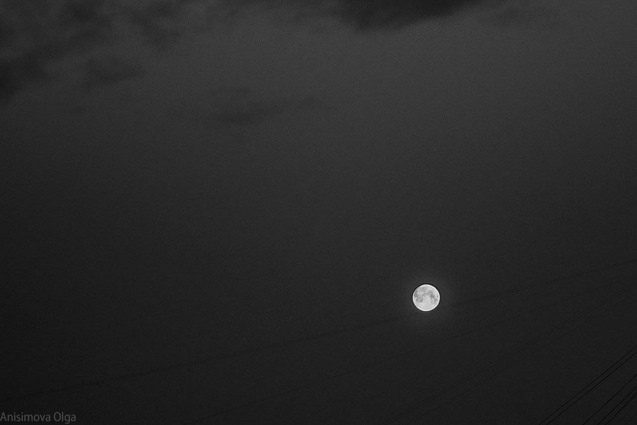 танцующая на проводах....., Анисимова Ольга Леонидовна