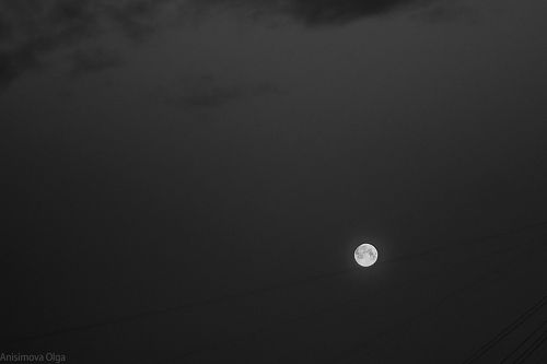 Танцующая на проводах.....