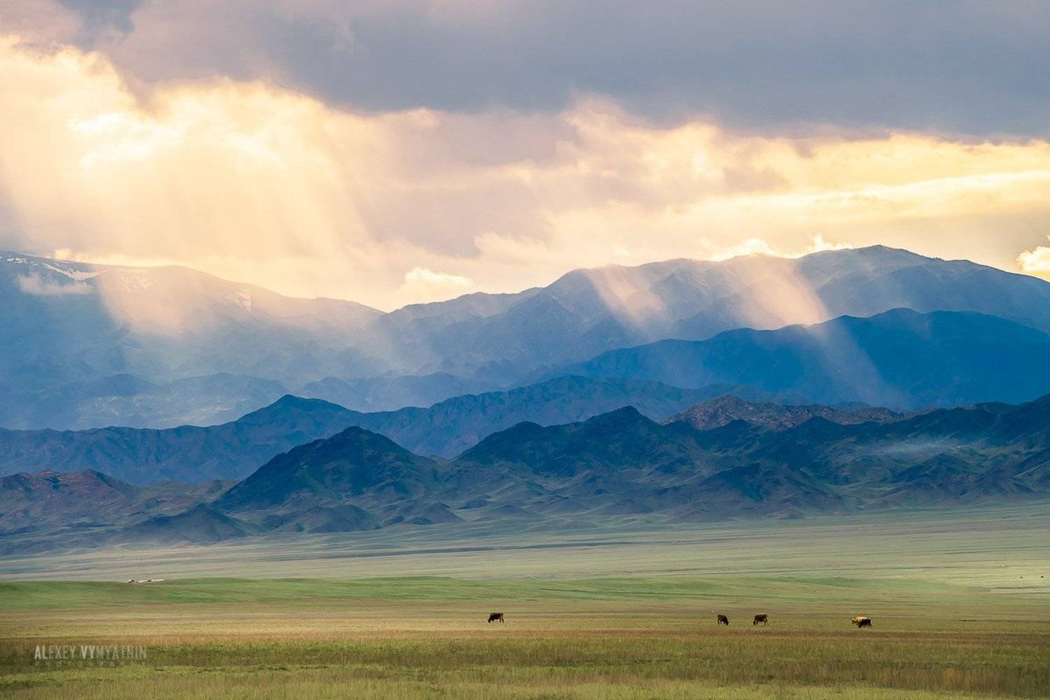 , Алексей Вымятнин