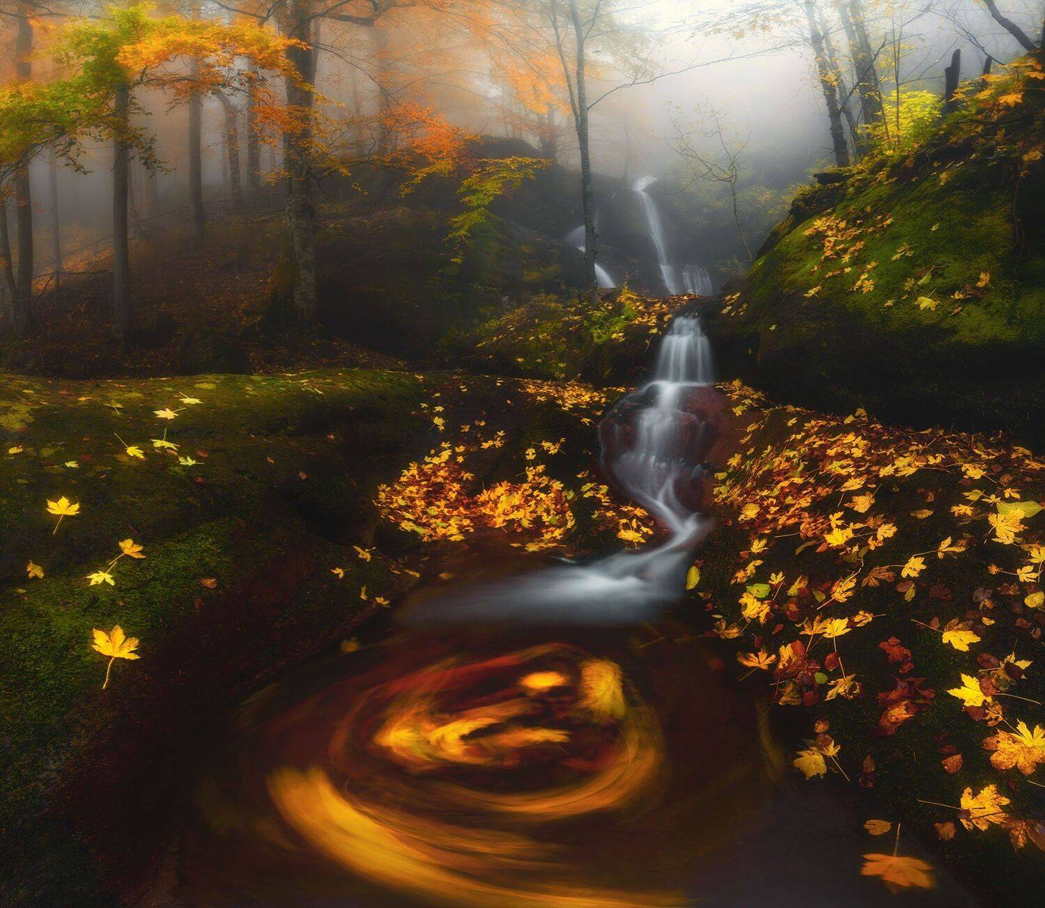 , Красимир Матаров